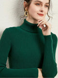 Velvet Ribbed Turtleneck Knit