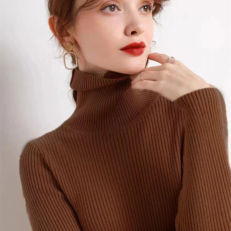 Velvet Ribbed Turtleneck Knit