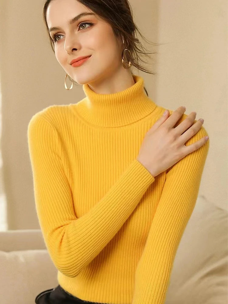 Velvet Ribbed Turtleneck Knit