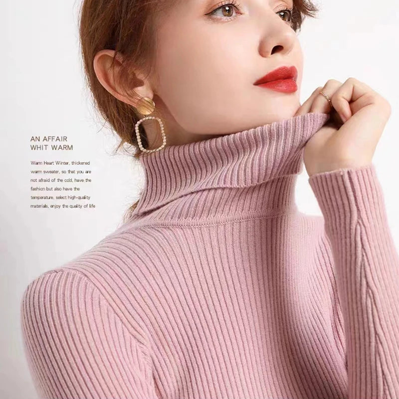 Velvet Ribbed Turtleneck Knit
