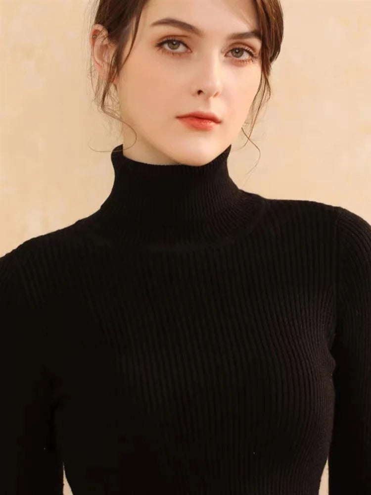 Velvet Ribbed Turtleneck Knit
