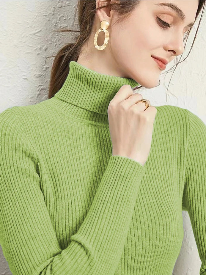 Velvet Ribbed Turtleneck Knit